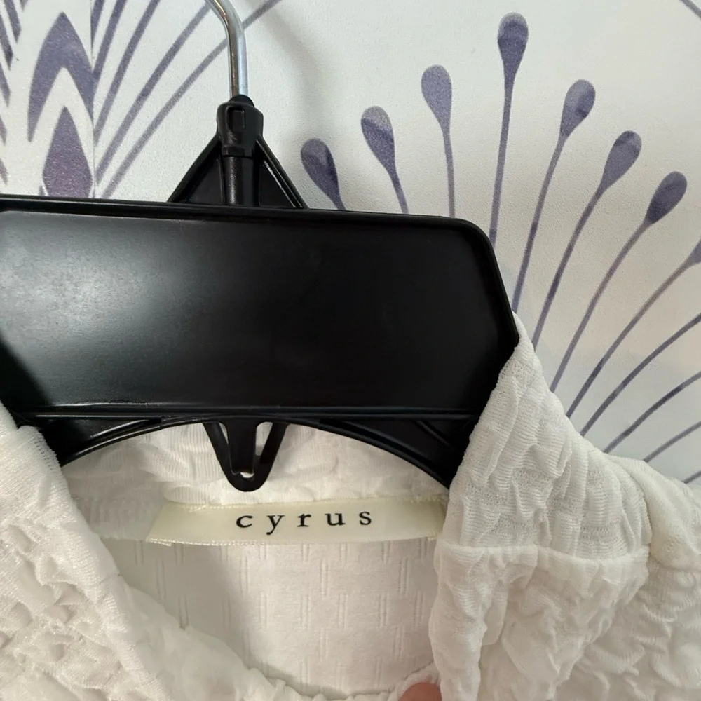 Cyrus White Ribbed Mandarin Collar Blouse - Picture 3 of 3